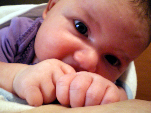 Soft fist