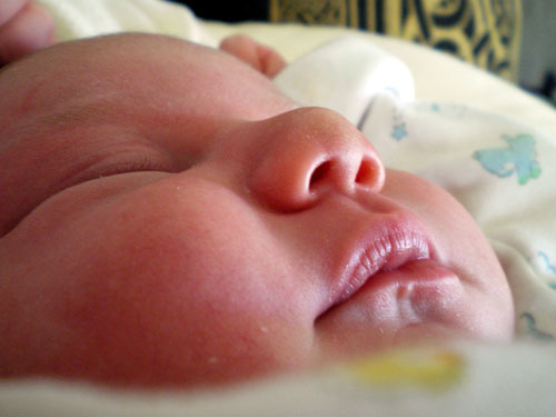 Lips